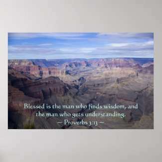 Proverbs 3:13 Poster print