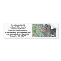 Proverbs 3:5-6 bumper stickers