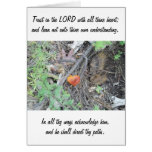 Proverbs 3:5-6 greeting card