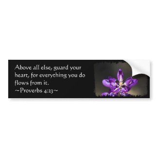 Proverbs 4:23 bumper stickers