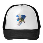 providence ri mesh hats