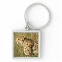 Prowling Cheetah Keychain