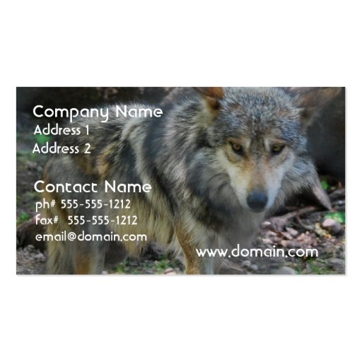 Prowling Wolf Business Cards