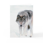Prowling Wolf Card