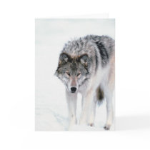 Prowling Wolf cards by alternateworlds Prowling Wolf cards