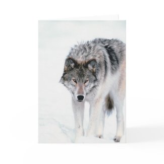 Prowling Wolf card