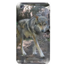Prowling Wolf iTouch Case Barely There iPod Cover