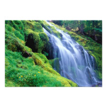 Proxy Falls in the central Oregon Cascades.