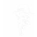 Ladies Destroyed T-Shirt
