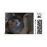 Pru postage