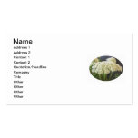 Prudence Business Cards