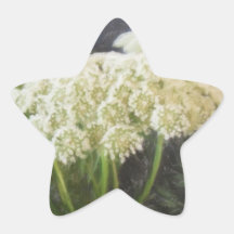 Prudence Star Sticker