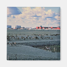 Prudhoe Bay, Alaska Magnets