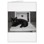 Prunella black cat lounging on laptop greeting cards