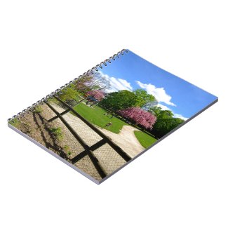 Prunus Park in Velvia Film Note Book