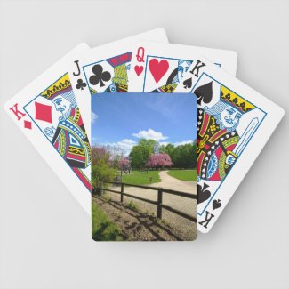 Prunus Park in Velvia Film Poker Cards