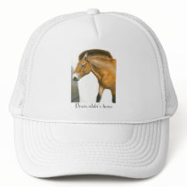 Przewalski's horse hat