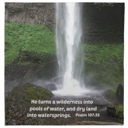 psalm-107-35-he-turns-a-wilderness-into-cloth-napkins