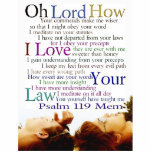 Psalm 119 Mem Thoughtful Photo Cut Outs
