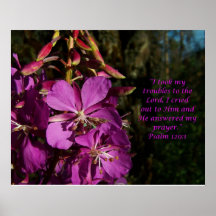 Psalm 120:1 Psalm of Encouragement Flower Poster