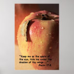 Psalm 17:8 Scripture Print