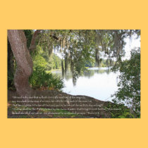Psalm 1:1-3 Scripture Poster posters