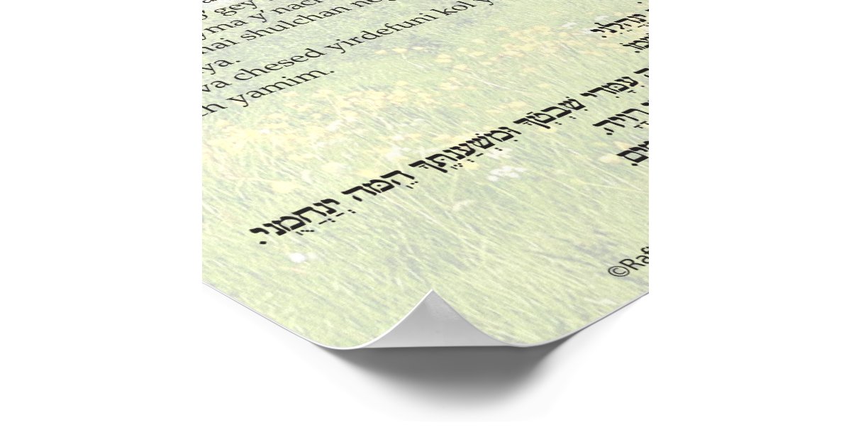 Psalm 23 In English Hebrew And Transliteration Poster Zazzle