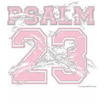 Psalm 23 Pink Sports Tee t-shirts
