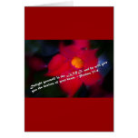 Psalm 37:4 Red Background Cards