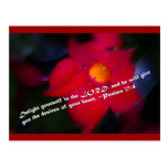Psalm 37:4 Red Background Post Card