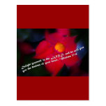Psalm 37:4 Red Background Post Cards