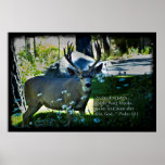 Psalm 42:1 and Deer Black Border Poster