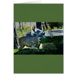 Psalm 42:1 and Deer Greeting Card