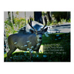 Psalm 42:1 and Deer Post Cards