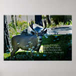 Psalm 42:1 and Deer Poster