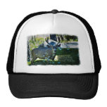 Psalm 42:1 and Deer White Border Hat