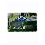 Psalm 42:1 and Deer White Border Post Cards