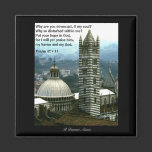 Psalm 42 v 11 | Magnet magnets