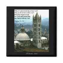 Psalm 42 v 11 | Magnet