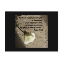 Psalm 59:16 White Rose Post Cards