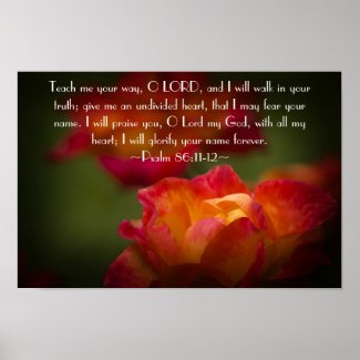 Psalm 86:11-12 Poster