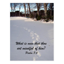 Psalm 8:4 postcards