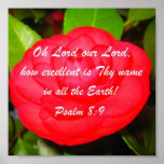 Psalm 8:9 poster