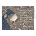 Psalms 139: 17-18, Shell Version Psalms 139: 17-18, Shell Version