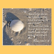 Psalms 139: 17-18, Shell Version postcards