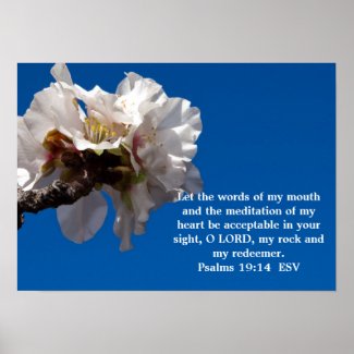 Psalms 19:14 poster print