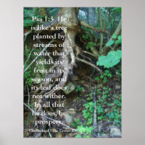 Psalms 1:3 posters