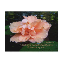 Psalms 23 Postcard by DanceswithCats Psalms 23 Postcard