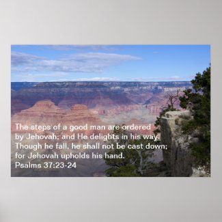 Psalms 37:23-24 Poster print