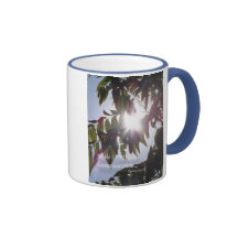 Psalms 84:11 mugs